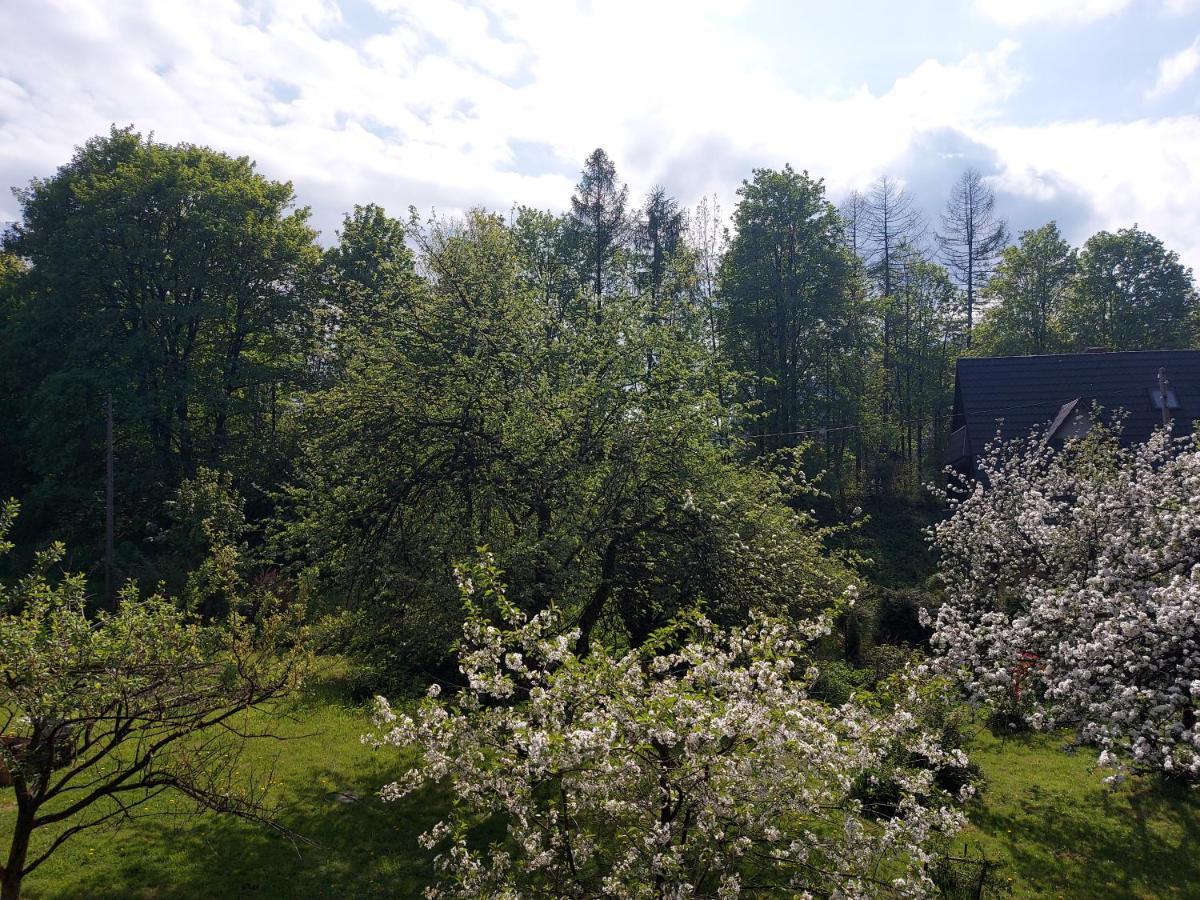 Apartament Bolek I Apartament Lolek — Zdjęcia 2